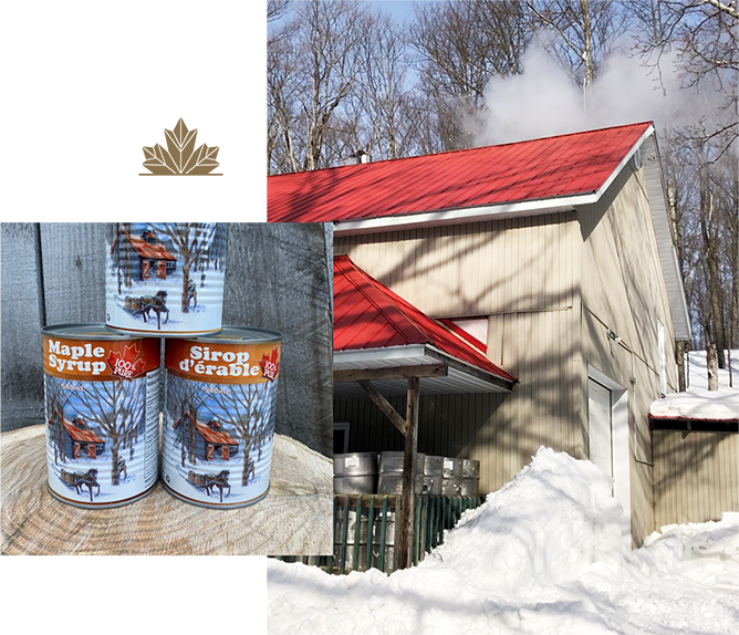 Ferme Acéricole J.B. - Entreprise familiale d'élevage bovin et produits 100% de l'érable